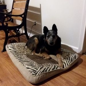 Meet your Posher, Kellie